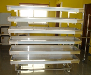 Clique para ver a foto inicial